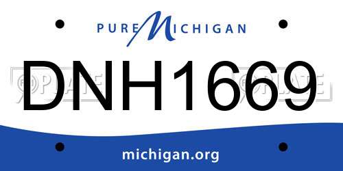 DNH1669 Michigan License Plate