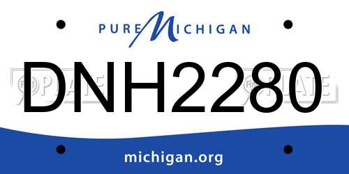 DNH2280 Michigan License Plate