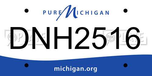 DNH2516 Michigan License Plate