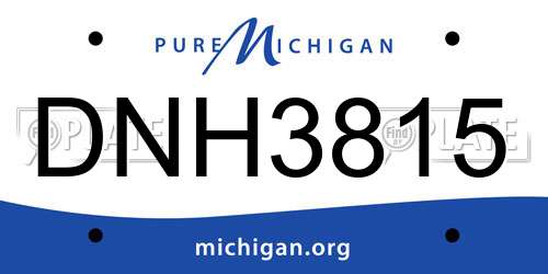 DNH3815 Michigan License Plate