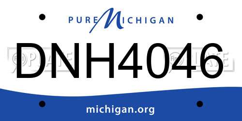 DNH4046 Michigan License Plate