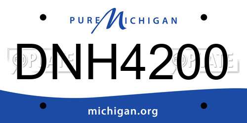 DNH4200 Michigan License Plate