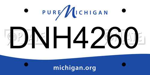 DNH4260 Michigan License Plate