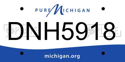 DNH5918 Michigan License Plate