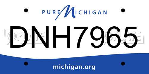 DNH7965 Michigan License Plate