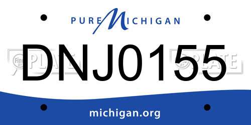 DNJ0155 Michigan License Plate