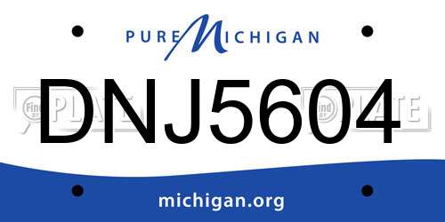 DNJ5604 Michigan License Plate