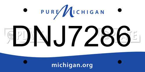 DNJ7286 Michigan License Plate