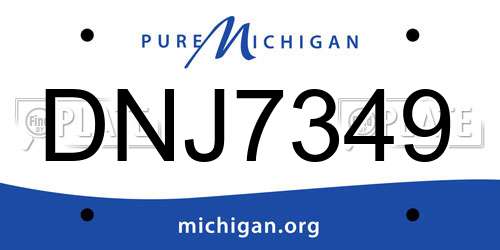 DNJ7349 Michigan License Plate