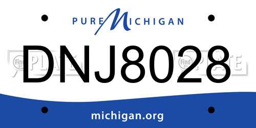 DNJ8028 Michigan License Plate