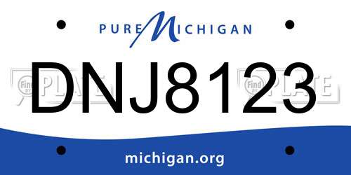 DNJ8123 Michigan License Plate