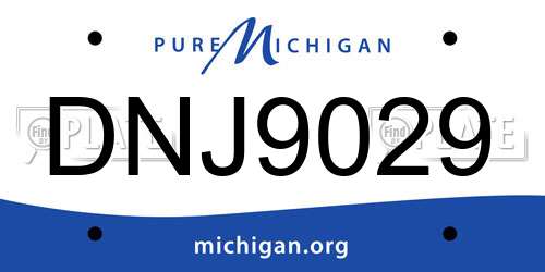DNJ9029 Michigan License Plate