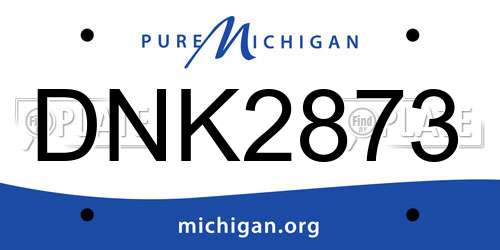 DNK2873 Michigan License Plate