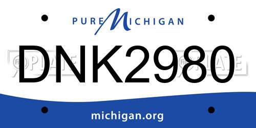 DNK2980 Michigan License Plate