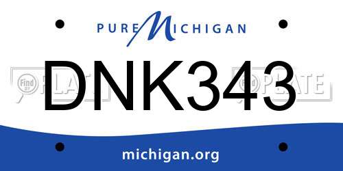 DNK343 Michigan License Plate