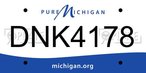 DNK4178 Michigan License Plate