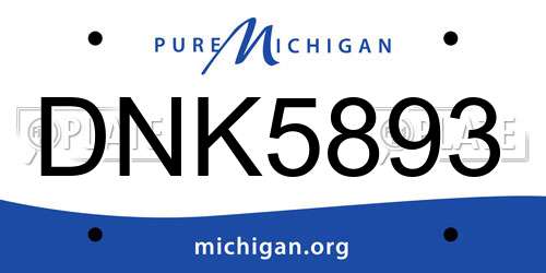 DNK5893 Michigan License Plate