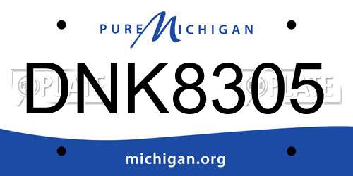 DNK8305 Michigan License Plate