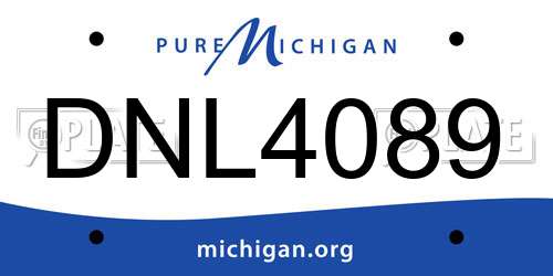 DNL4089 Michigan License Plate