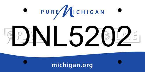 DNL5202 Michigan License Plate