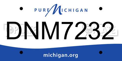 DNM7232 Michigan License Plate