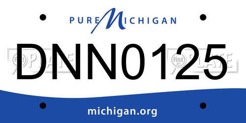 DNN0125 Michigan License Plate