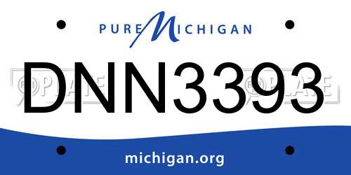 DNN3393 Michigan License Plate