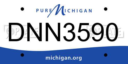 DNN3590 Michigan License Plate