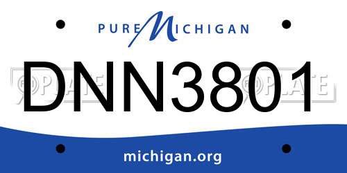 DNN3801 Michigan License Plate