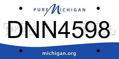 DNN4598 Michigan License Plate