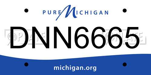 DNN6665 Michigan License Plate