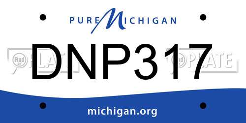 DNP317 Michigan License Plate