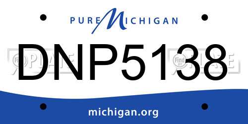 DNP5138 Michigan License Plate