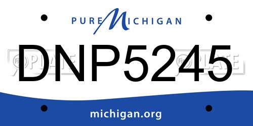 DNP5245 Michigan License Plate