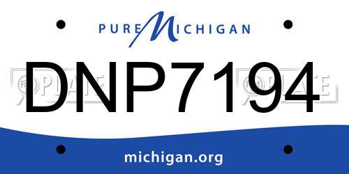 DNP7194 Michigan License Plate