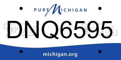 DNQ6595 Michigan License Plate