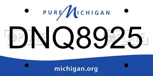 DNQ8925 Michigan License Plate