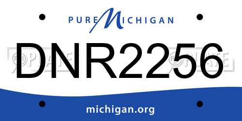 DNR2256 Michigan License Plate