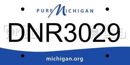 DNR3029 Michigan License Plate