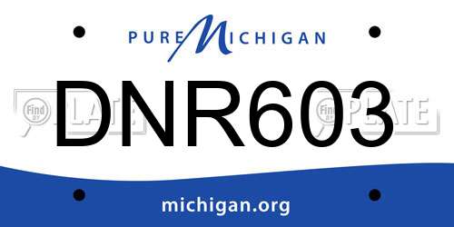DNR603 Michigan License Plate