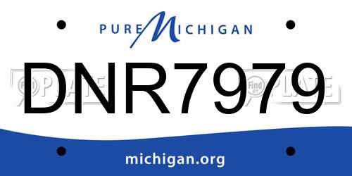 DNR7979 Michigan License Plate