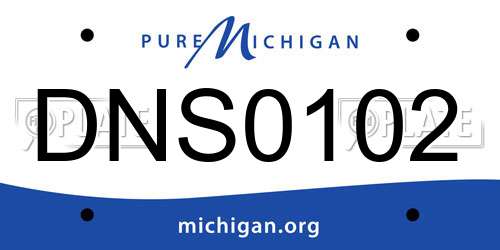 DNS0102 Michigan License Plate