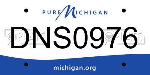 DNS0976 Michigan License Plate