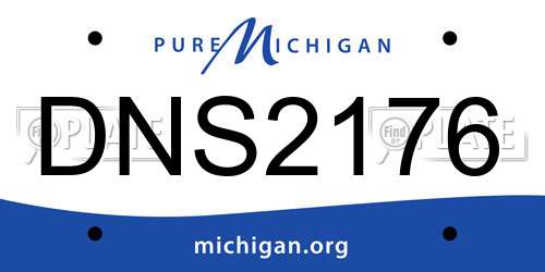 DNS2176 Michigan License Plate