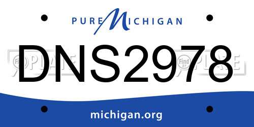 DNS2978 Michigan License Plate