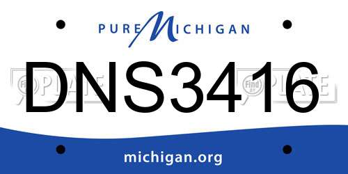 DNS3416 Michigan License Plate