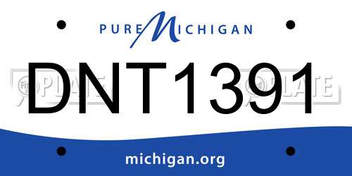 DNT1391 Michigan License Plate