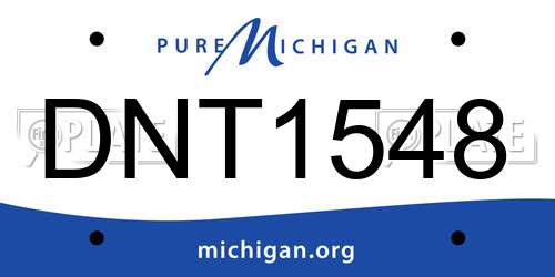 DNT1548 Michigan License Plate
