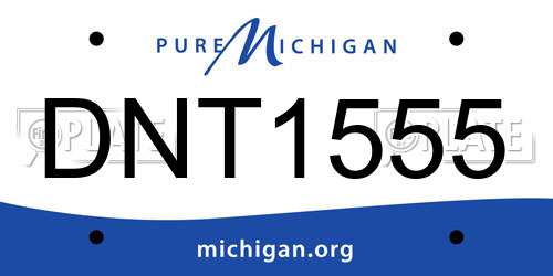 DNT1555 Michigan License Plate