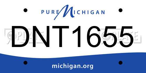DNT1655 Michigan License Plate